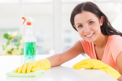 Professional carpet cleaning in a Putney living room