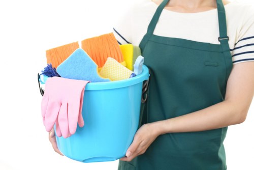 Professional cleaners in Putney working in a bright residential home