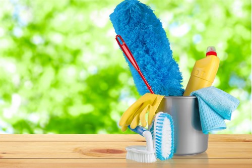 Domestic cleaning service in a Putney living room
