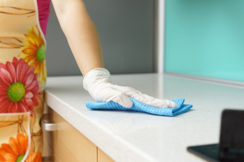 Image 1 showing ethical cleaning operations in Putney
