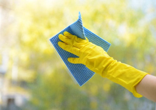 Cleaner treating a sofa and armchair with upholstery equipment