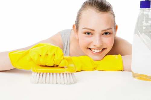 Bathroom cleaning in a Putney property