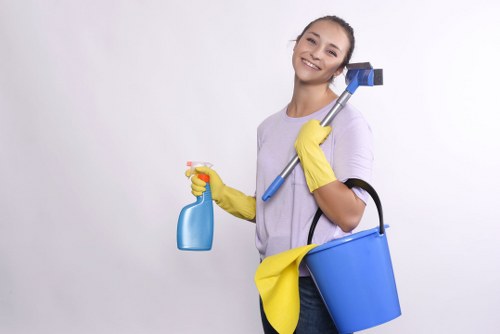 SSL-encrypted Carpet Cleaners Putney payment process
