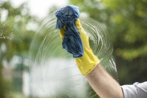 Deep rug cleaning methods used in Putney homes