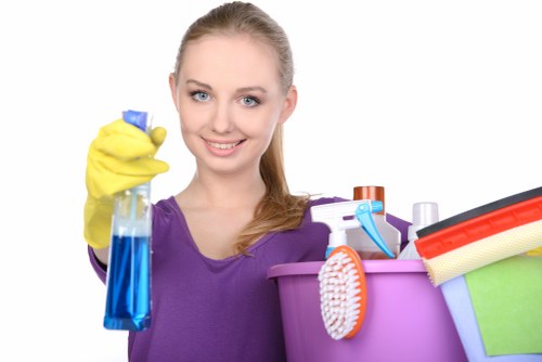 Browser privacy controls for managing cookies on a cleaning service website