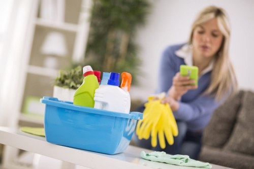 Professional carpet cleaning process in a Putney property